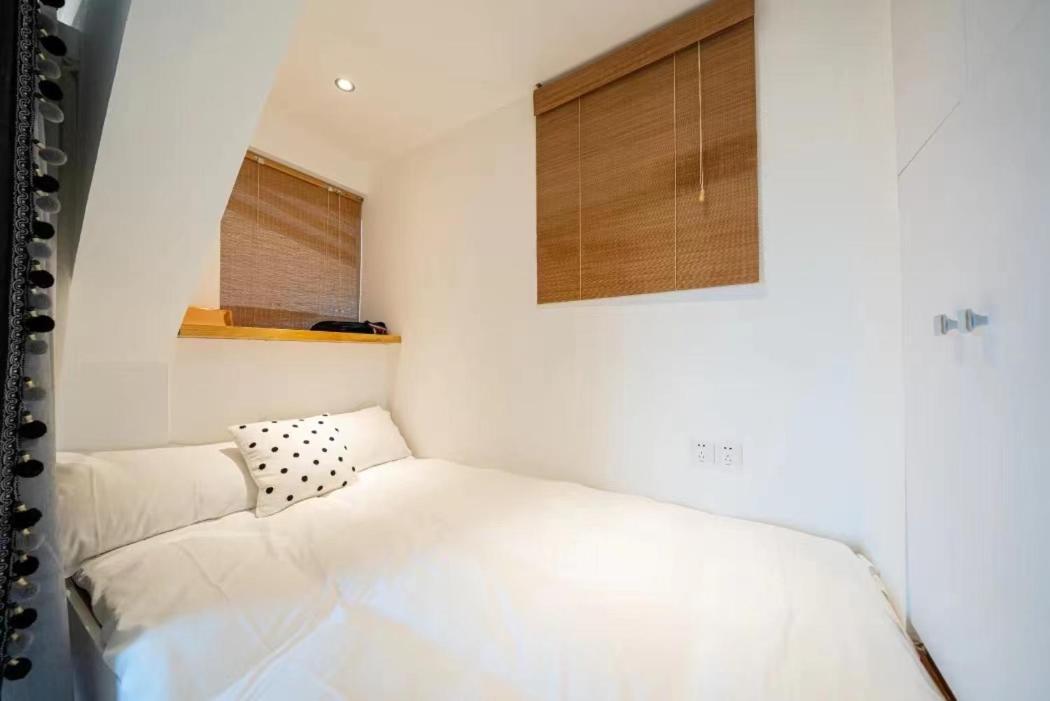 Hills & Serendipity Roof House Near Line1 & Line12 South Shanxi Road Iapm Huaihai Zhong Road Apartemen Shanghai